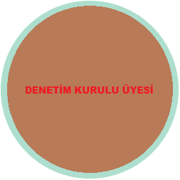 Yönetim Kurulu Üyesi 2